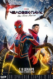 Spider-Man: No Way Home IMAX
