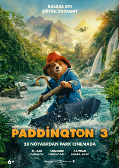 Paddington in Peru 